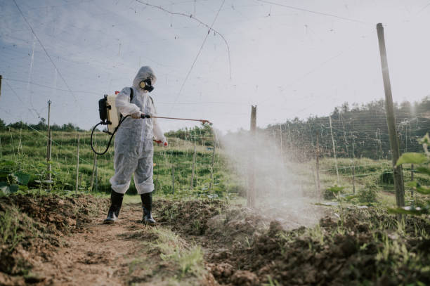 Best Affordable Pest Control Services  in Fort Calhoun, NE