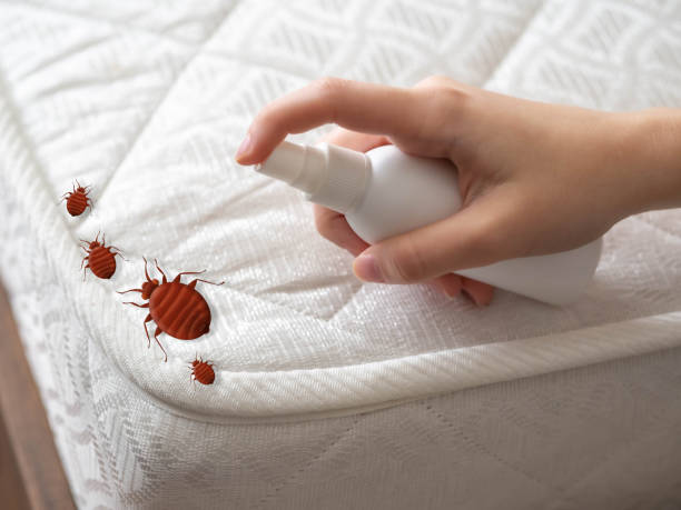 Best Bed Bug Extermination  in Fort Calhoun, NE